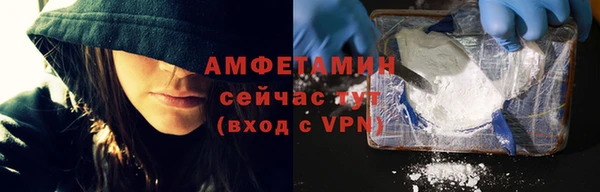 прущая мука Вяземский