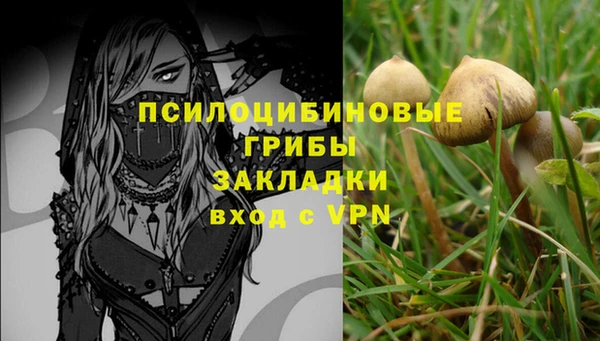 прущая мука Вяземский