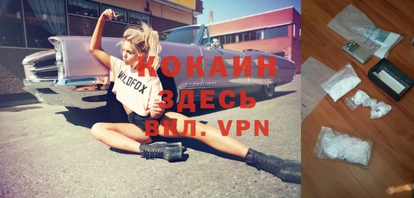 прущая мука Вяземский