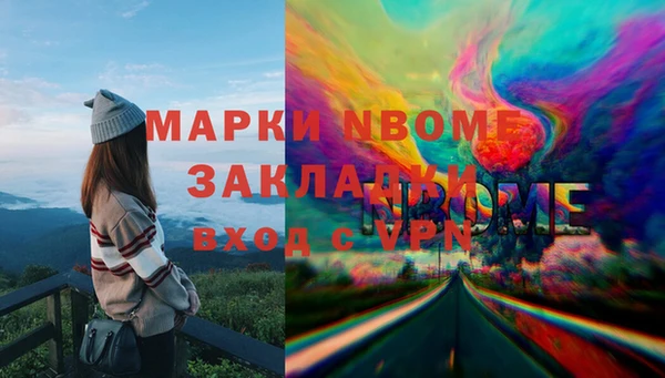 прущая мука Вяземский