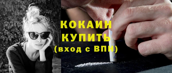 прущая мука Вяземский