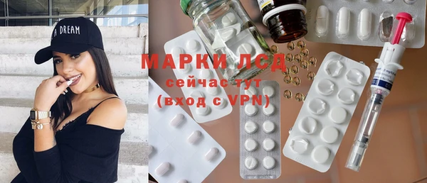 прущая мука Вяземский
