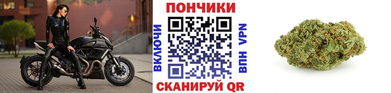 МАРИХУАНА план  Купить  Назрань 